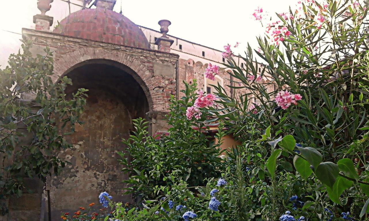 Studios Garden Terrace Oltrarno Florence Exterior photo